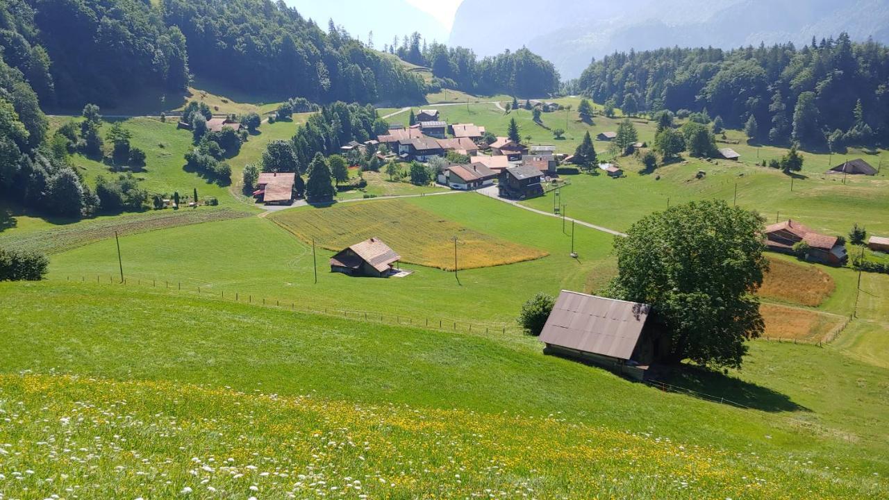 Chalet Bruenig Meiringen Bagian luar foto