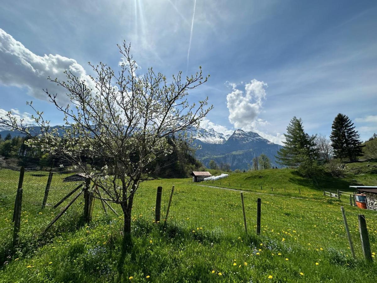 Chalet Bruenig Meiringen Bagian luar foto