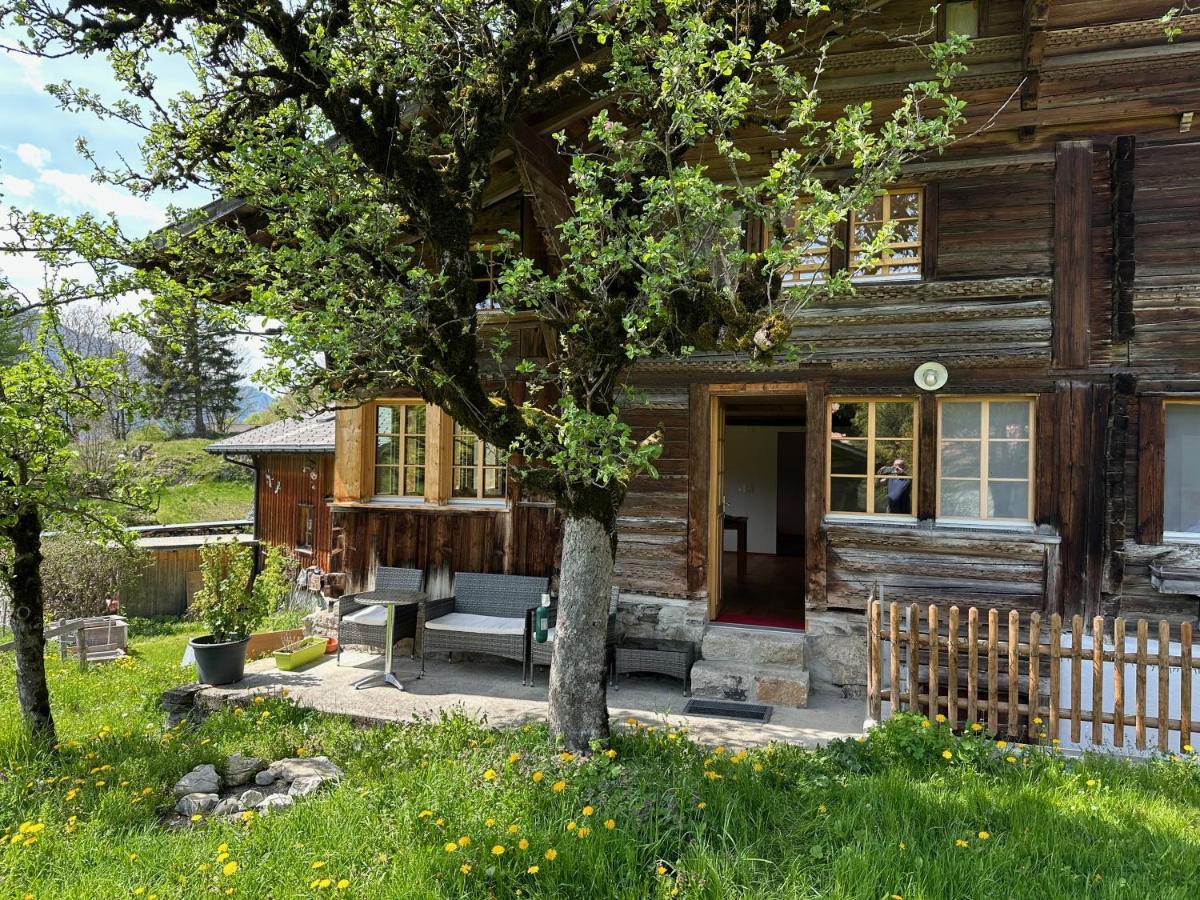 Chalet Bruenig Meiringen Bagian luar foto