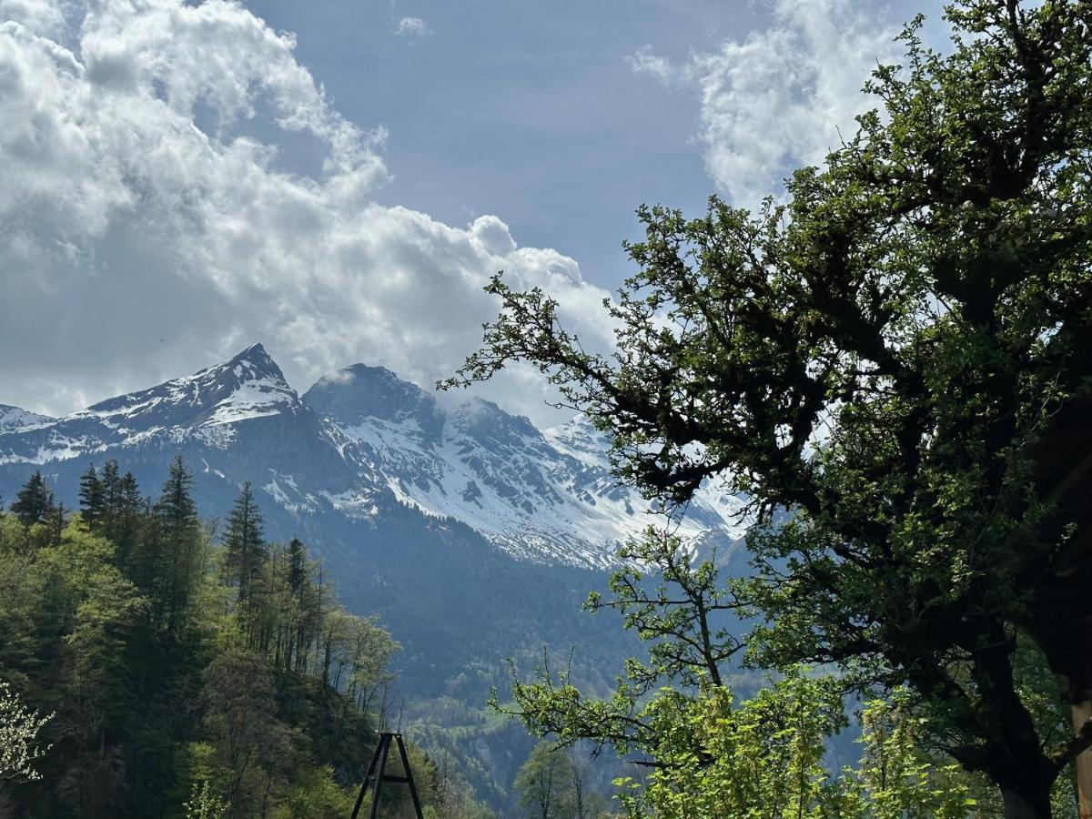 Chalet Bruenig Meiringen Bagian luar foto