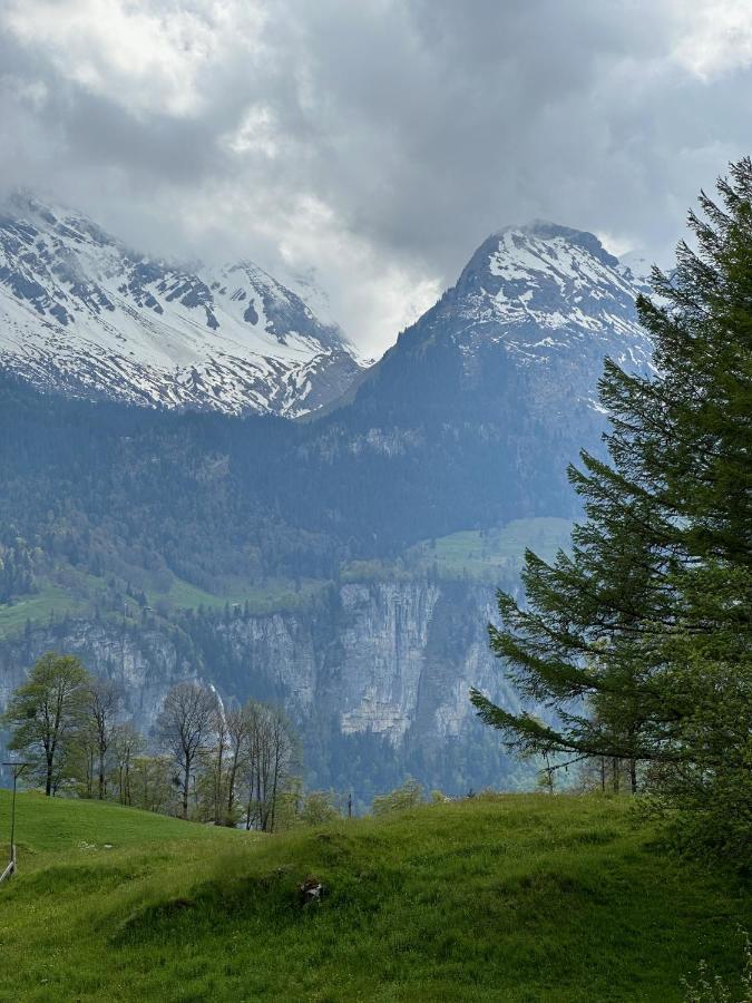 Chalet Bruenig Meiringen Bagian luar foto
