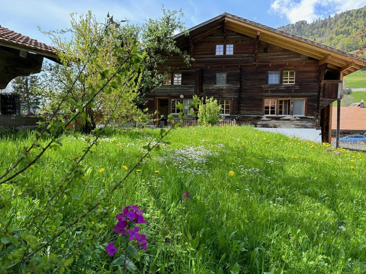 Chalet Bruenig Meiringen Bagian luar foto