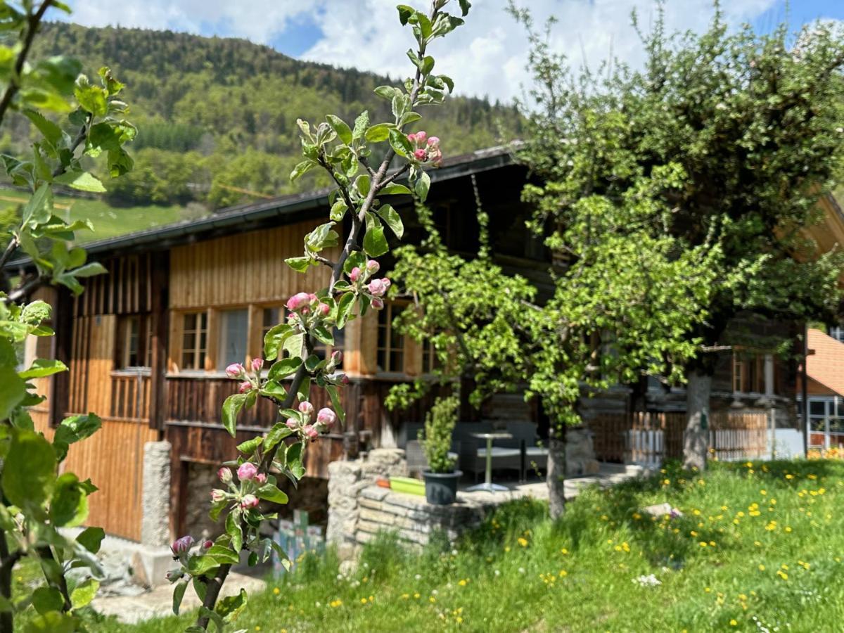 Chalet Bruenig Meiringen Bagian luar foto
