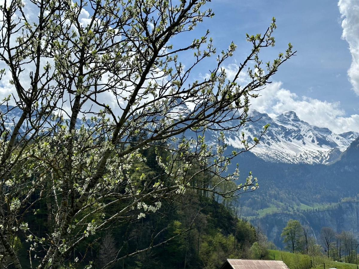 Chalet Bruenig Meiringen Bagian luar foto