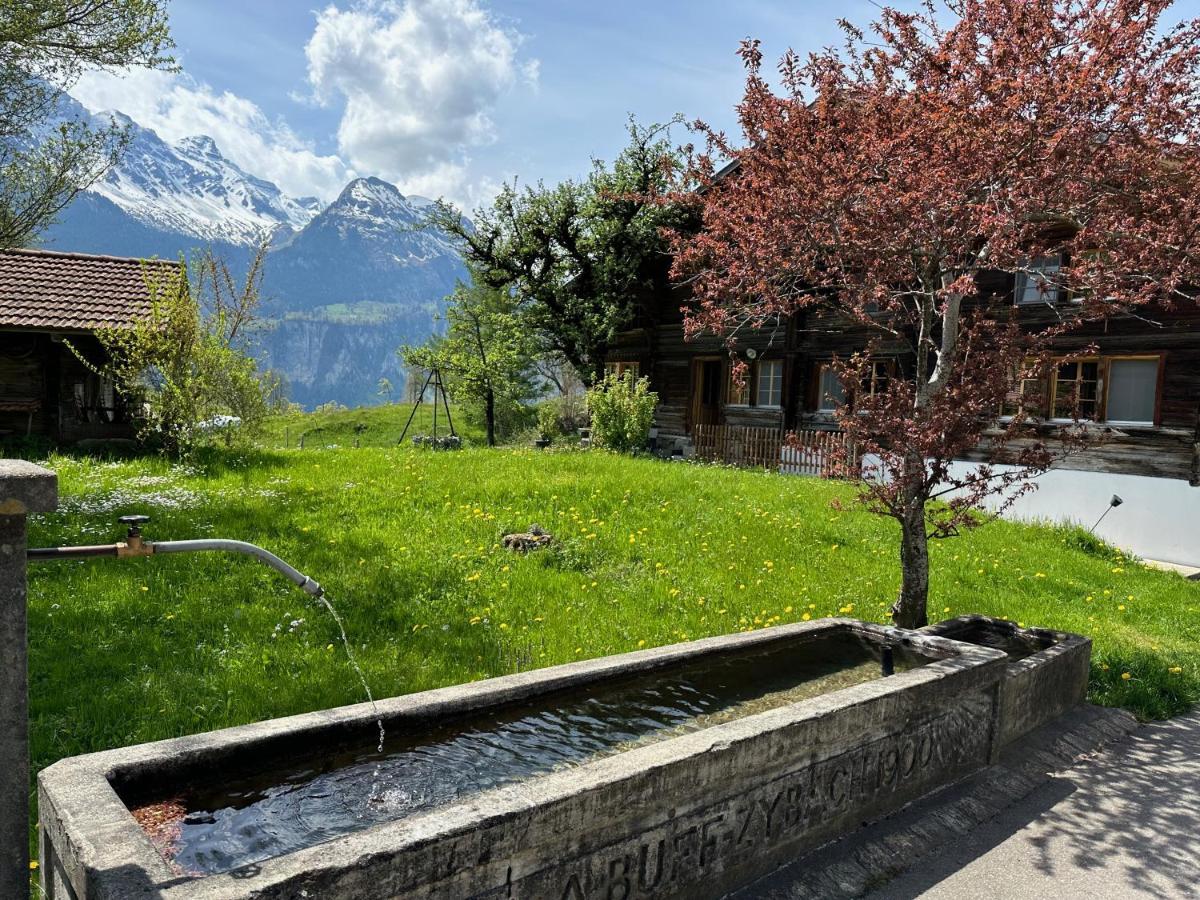 Chalet Bruenig Meiringen Bagian luar foto