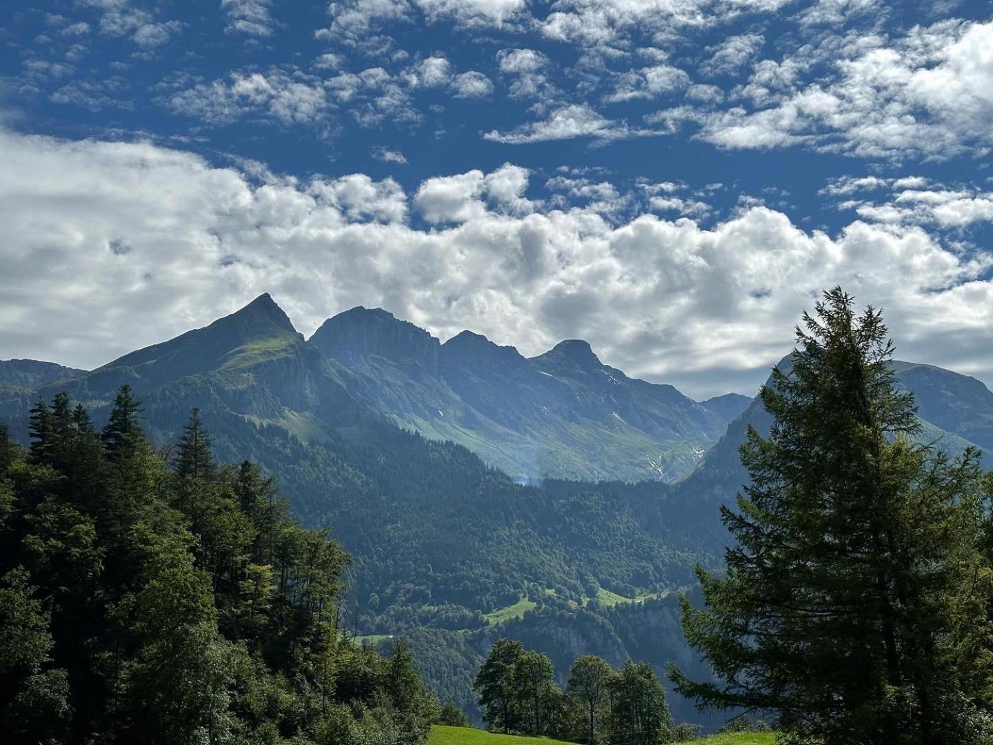 Chalet Bruenig Meiringen Bagian luar foto