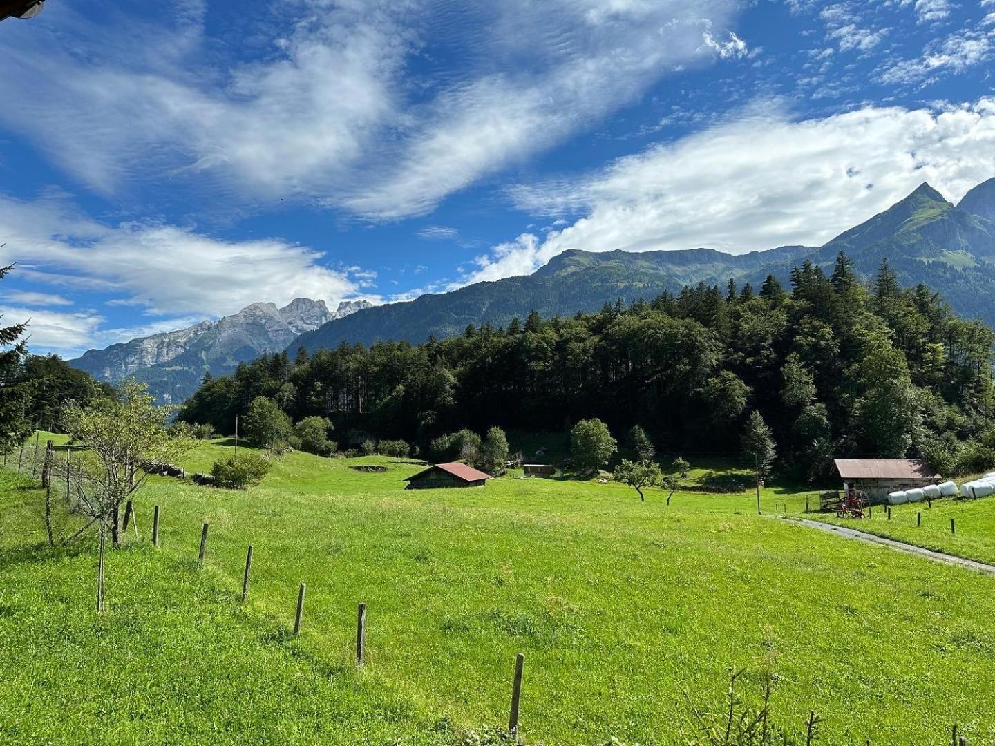 Chalet Bruenig Meiringen Bagian luar foto