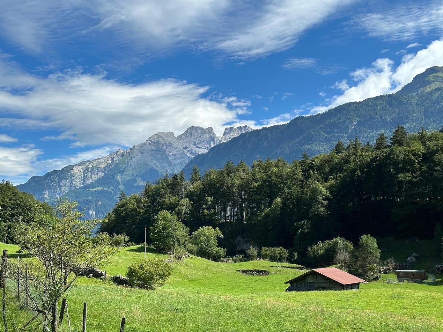 Chalet Bruenig Meiringen Bagian luar foto