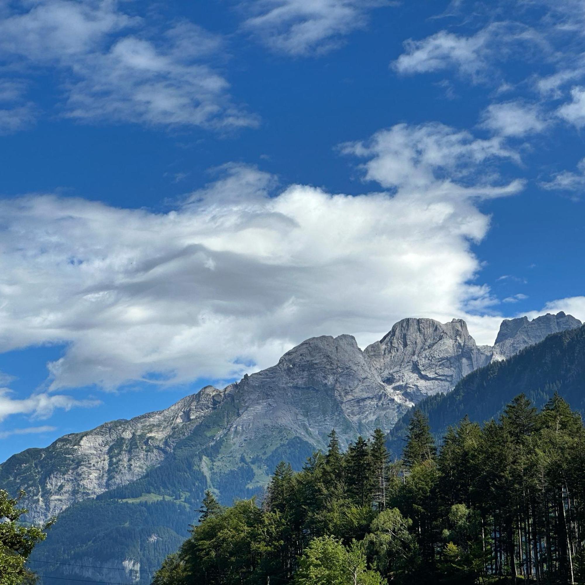 Chalet Bruenig Meiringen Bagian luar foto