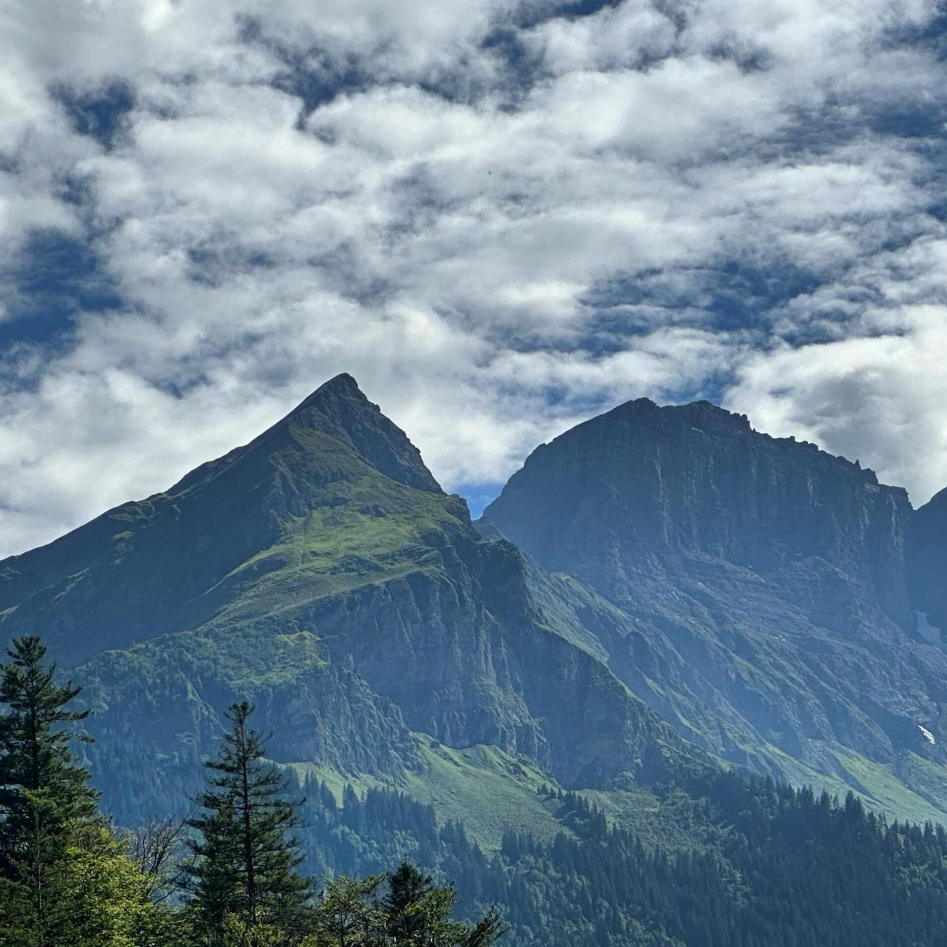 Chalet Bruenig Meiringen Bagian luar foto